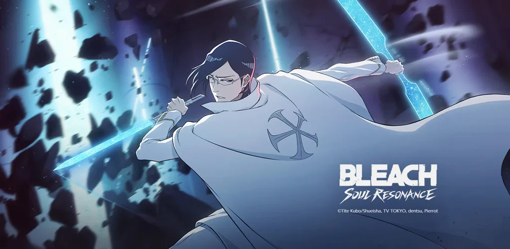 Bleach: Soul Resonance