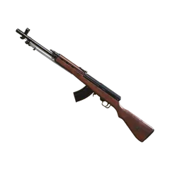 Type 63