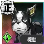 Iggy (UR)
