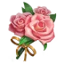 Rose of Friendship